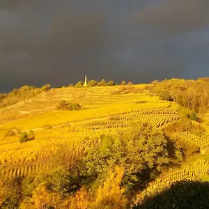 Guest house Wine Passion Panoramic